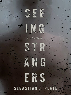 Seeing Strangers - ebook
